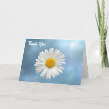 陽気な白いデイジー