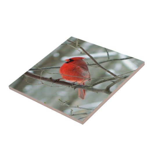 陽気な赤(鳥)ショウジョウコウカンチョウ装飾タイル タイル (側面)