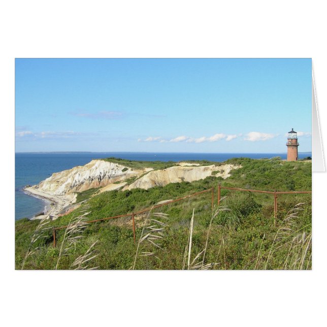 陽気な頭部MV (正面横)