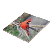 陽気な(鳥)ショウジョウコウカンチョウ装飾タイル タイル (側面)