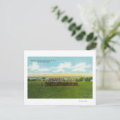 隊列縦隊 ポストカード (スタンド正面)