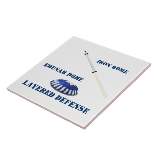 階層防御 タイル (側面)