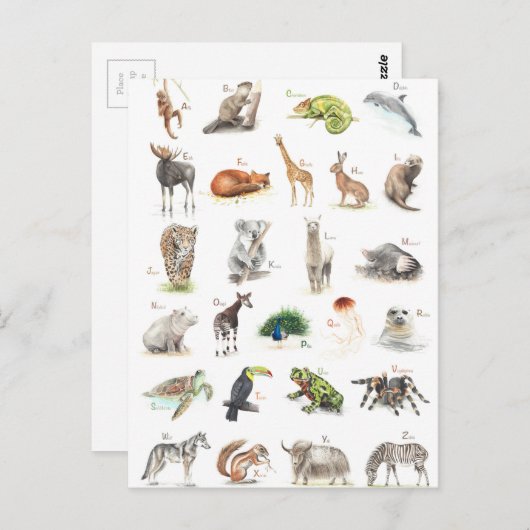 階層ABC ポストカード (正面/裏面)