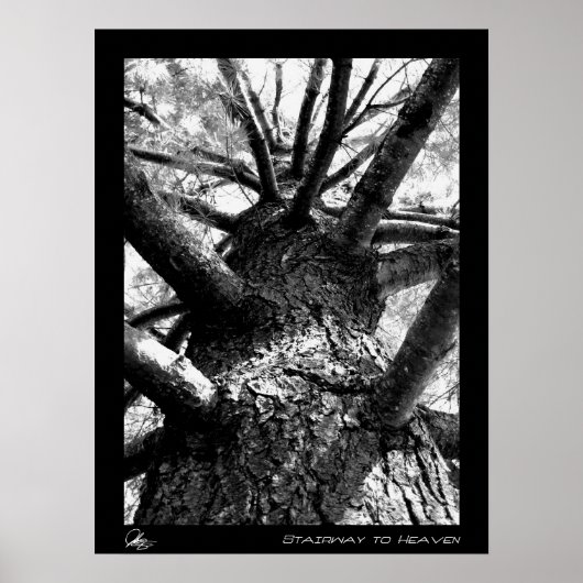 階段から天国 ポスター (正面)