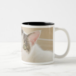 階段にあっている猫 ツートーンマグカップ