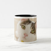 階段にあっている猫 ツートーンマグカップ (中央)