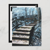 階段の夜景 ポストカード (正面/裏面)