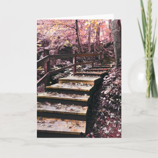 階段の夢 シーズンカード (正面)