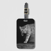 階段の野良猫 ラゲッジタグ (正面縦)