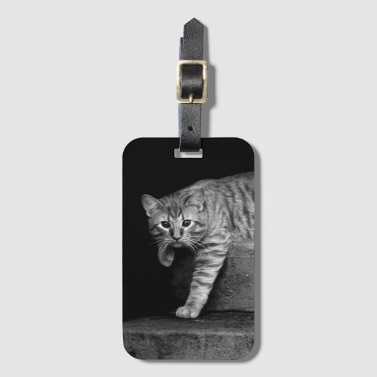 階段の野良猫 ラゲッジタグ (正面縦)