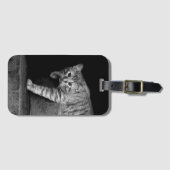 階段の野良猫 ラゲッジタグ (正面横)