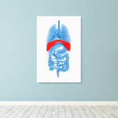 隔膜付き臓器のX線画像 キャンバスプリント (インサイチュ (ウッドフロア))