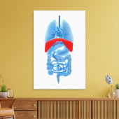 隔膜付き臓器のX線画像 キャンバスプリント (インサイチュ (リビング))