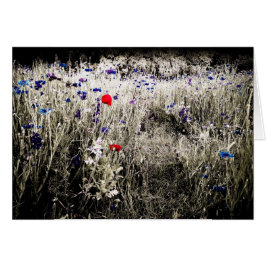 隔離される色によってはカードが開花します