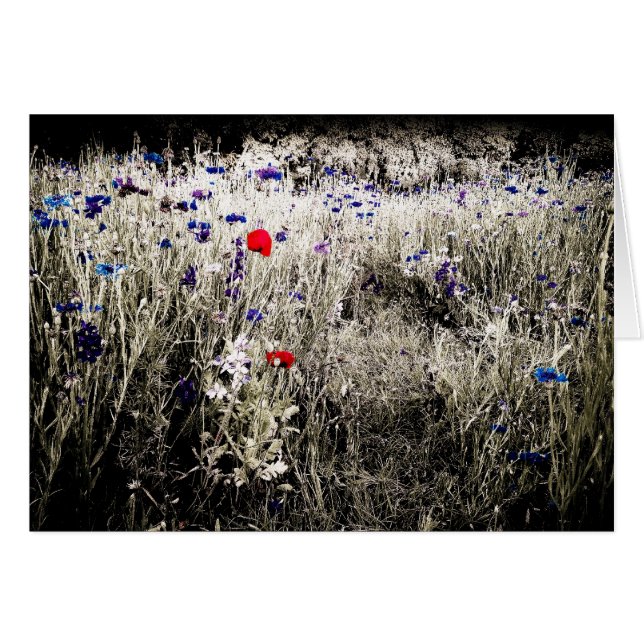 隔離される色によってはカードが開花します (正面横)