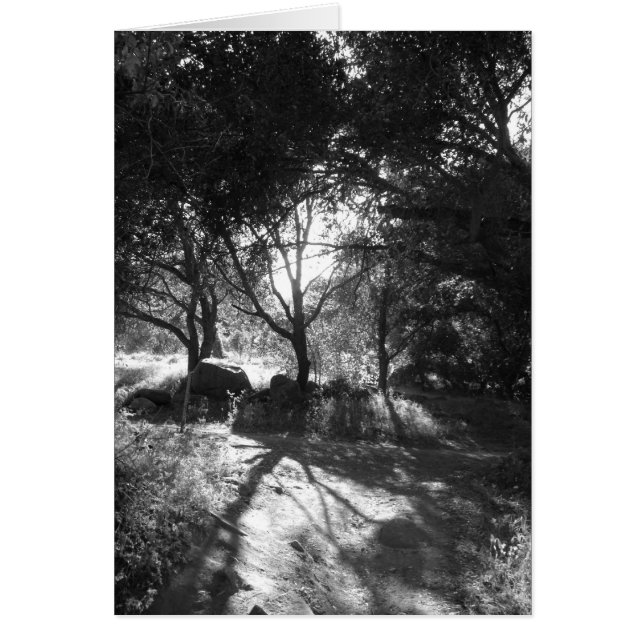 隔離カード (正面)