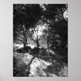 隔離ポスター ポスター