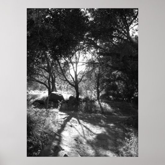 隔離ポスター ポスター (正面)