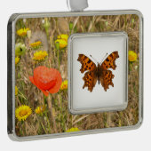 隔離型コンマ蝶ポストカード シルバープレートフレームオーナメント (右)
