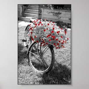 隔離紅花白黒自転車 ポスター