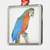 隔離緋色のマカオ メタルオーナメント (左)