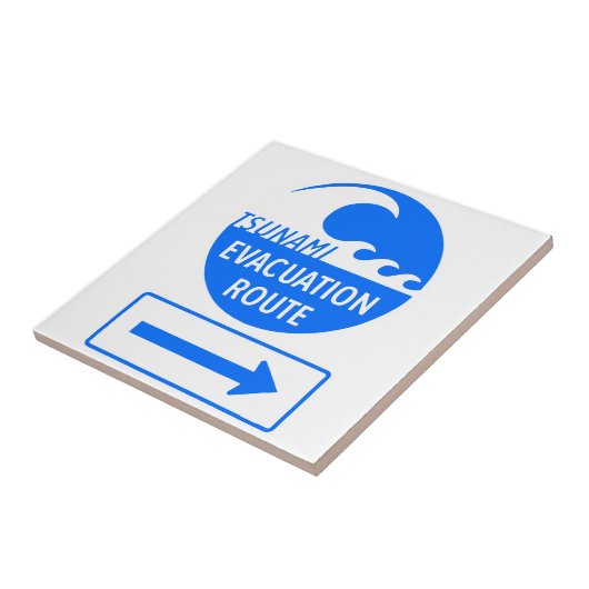 隔離避難経路道路標識 タイル (側面)