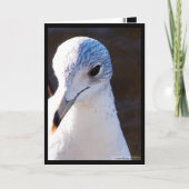 際立った対照 カード (正面)