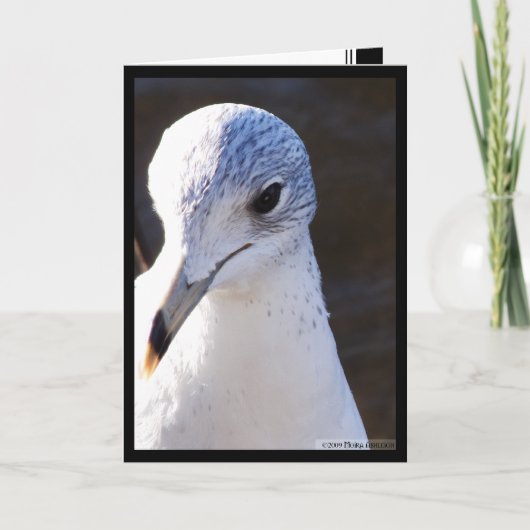 際立った対照 カード (正面)