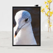 際立った対照 カード (黄色い花)