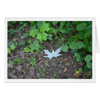 際立って下さい