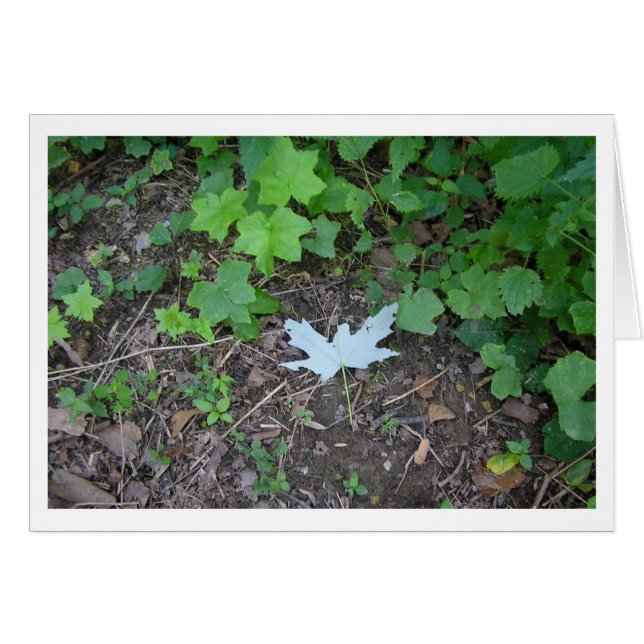 際立って下さい (正面横)