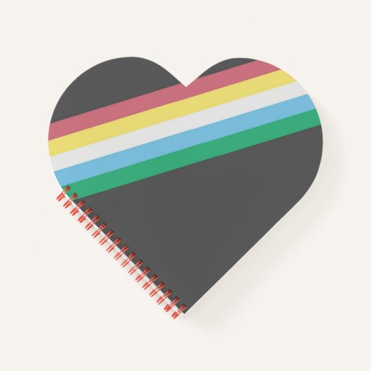 障害プライド旗スパイラルノート ノートブック (正面)