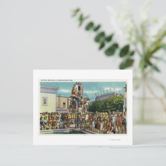 障害美しい公園 ポストカード (スタンド正面)