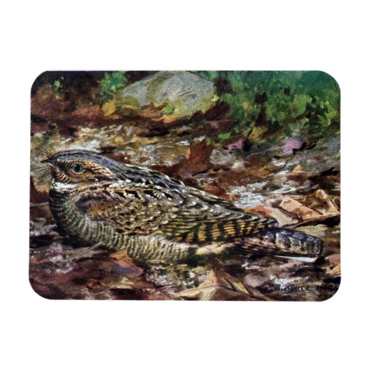 隠されたウィッポーラ マグネット (横)