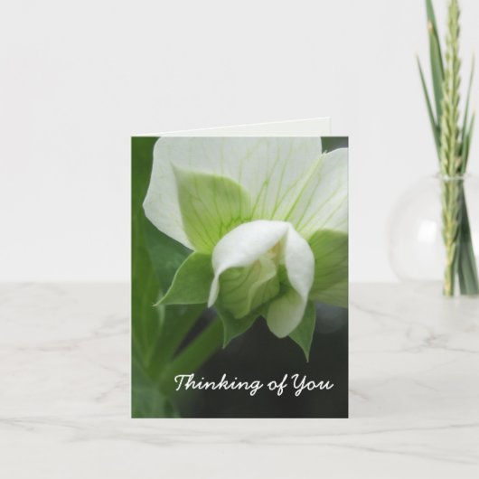 隠されたエンドウ豆のカスタマイズ可能なテンプレートのメッセージカード カード (正面)