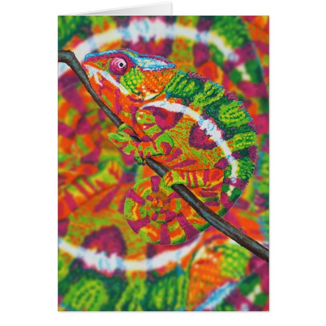 隠されたカメレオンカード (正面)