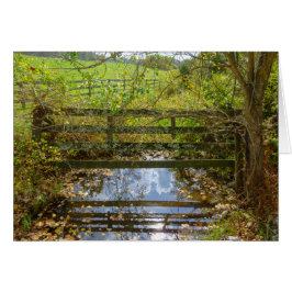 隠された入り江