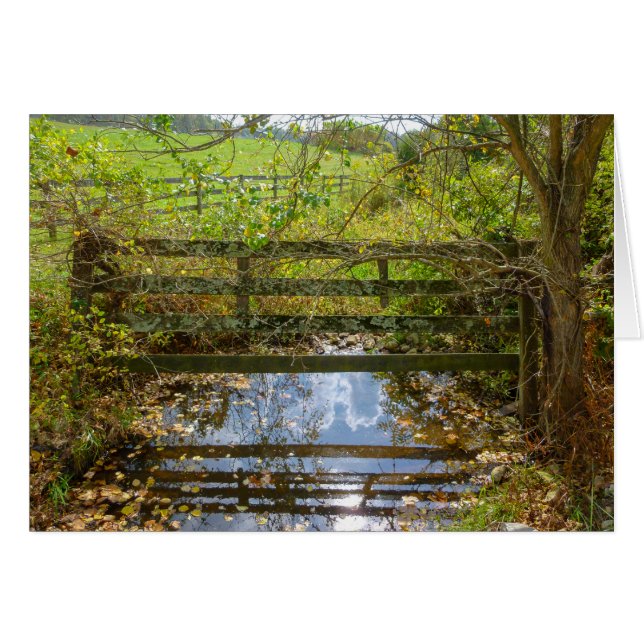 隠された入り江 (正面横)