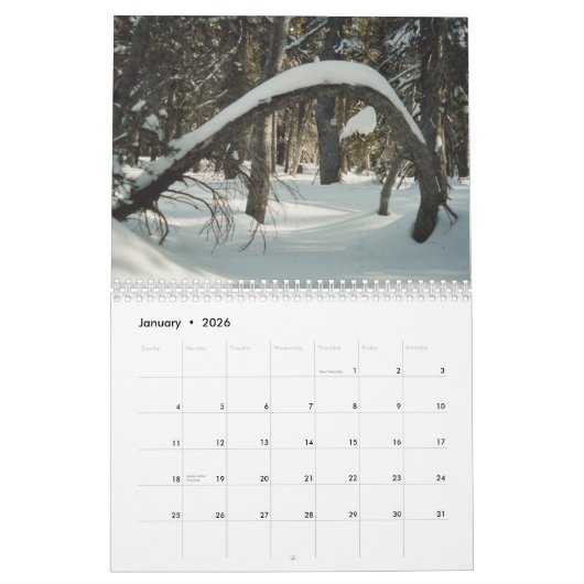 隠された宝物2011年 カレンダー (1月 2026)