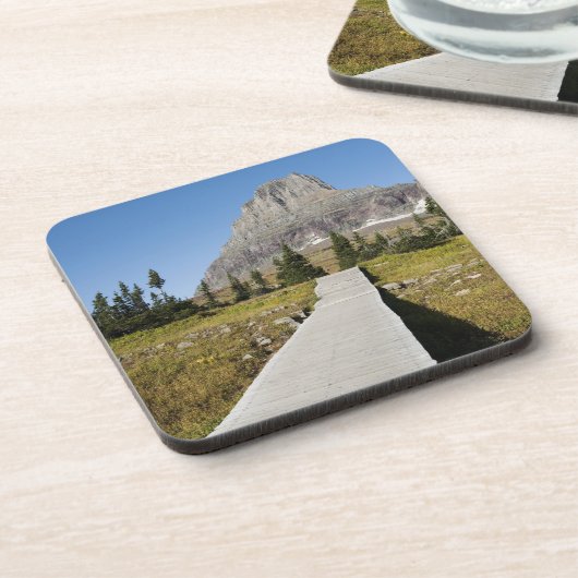 隠された湖の眺めへの細道 コースター (左側)