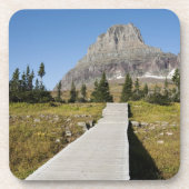 隠された湖の眺めへの細道 コースター (正面)