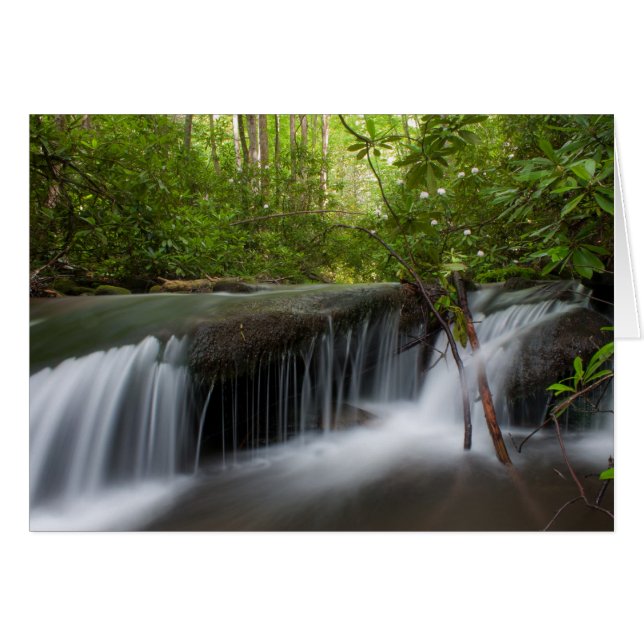 隠された滝カード (正面横)