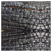 隠された火の生地 ファブリック (クローズアップ)