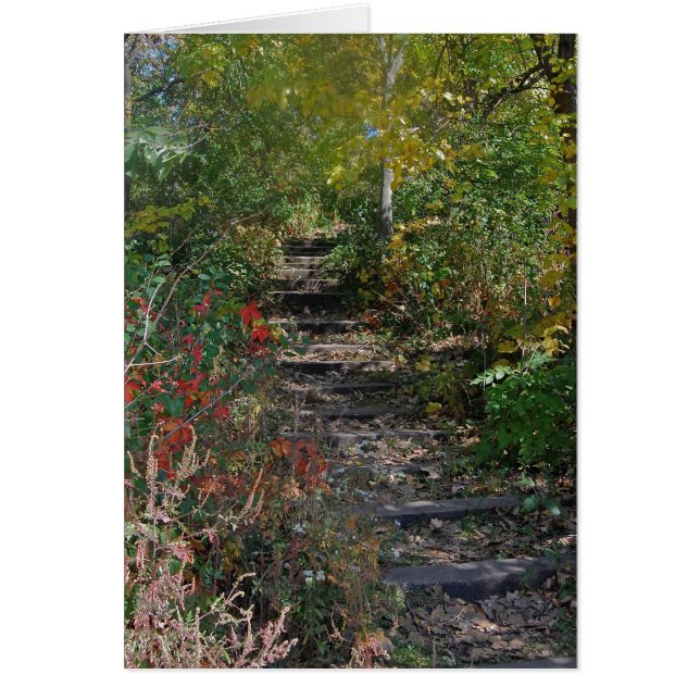 隠された階段 (正面)