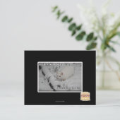 隠しだての子猫1 ポストカード (スタンド正面)