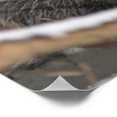 隠しオブジェクト ポスター (角)