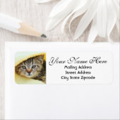 隠しキッテン差出人住所 ラベル (インサイチュ)