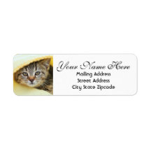 隠しキッテン差出人住所