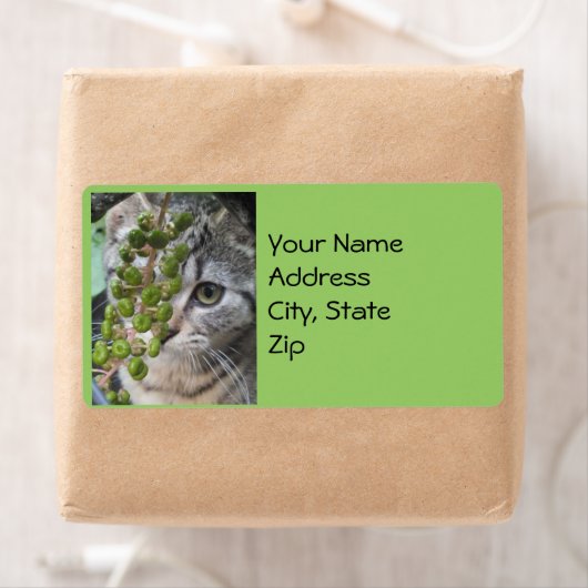 隠しキットン住所 シール (インサイチュ)