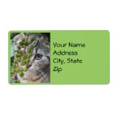 隠しキットン住所 シール (正面)